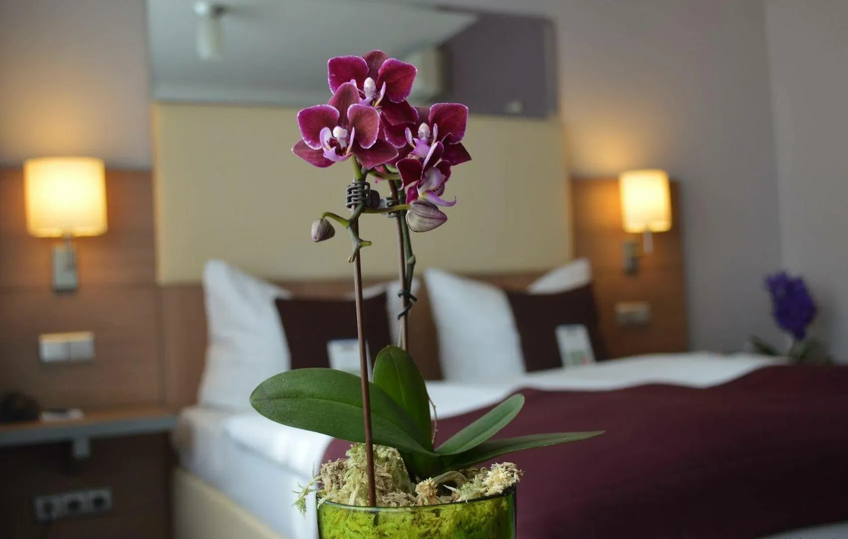 Hotel Scala Frankfurt City Centre Francfort-sur-le-Main 3*,